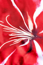 Bañador Flor Roja