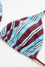 Bikini Rayas Multicolor